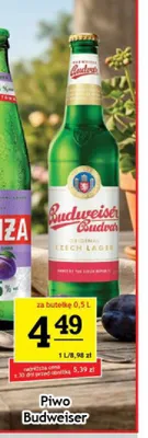 Piwo Budweiser Original Czech Lager promocja w Gram Market
