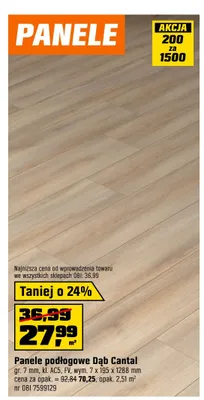 Panele podłogowe Dąb Cantal promocja w OBI