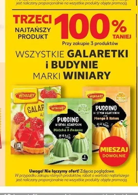 Pudding w stylu azjatyckim Matcha & Ananas Winiary promocja w Kaufland
