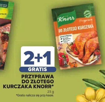 Przyprawa do złotego kurczaka Knorr promocja w Stokrotka