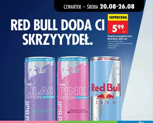 Napój energetyczny Red Bull owoce leśne zero promocja w Biedronka