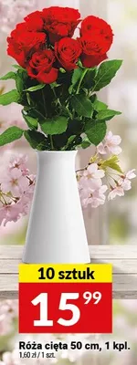 Róża cięta 50 cm promocja w Twój Market