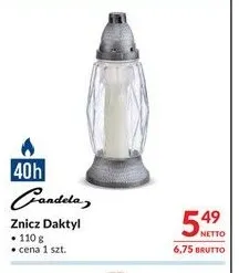 Znicz Daktyl Candela promocja w Makro