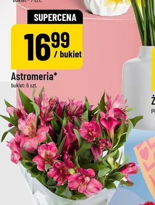 Astromeria bukiet promocja w POLOmarket