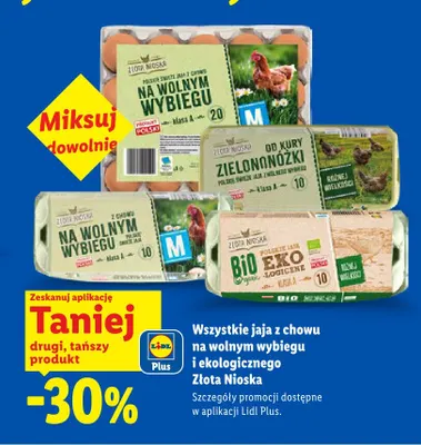 Jaja z chowu na wolnym wybiegu M Złota Nioska 20 szt promocja w Lidl