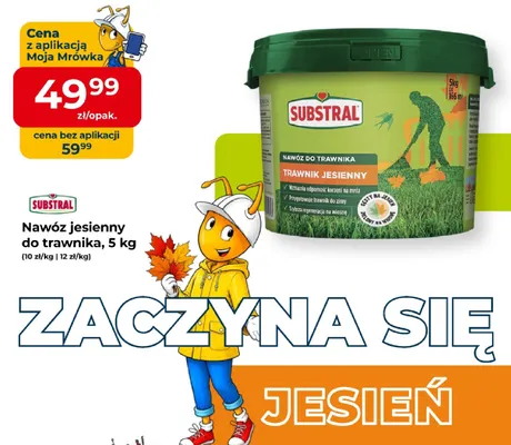 Nawóz jesienny do trawnika Substral promocja w PSB Mrówka