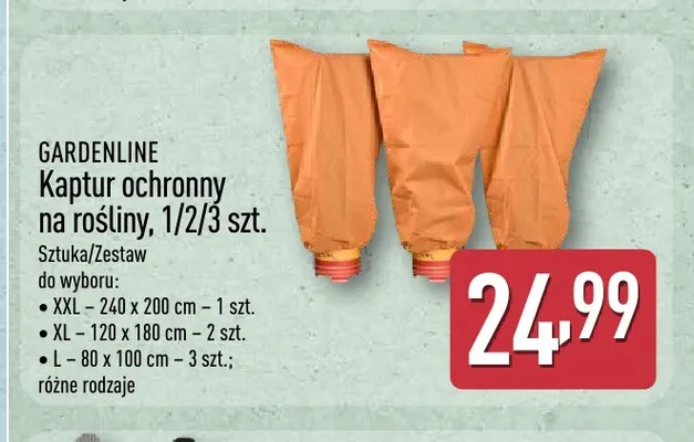 Kaptur ochronny na rośliny Xxl 240x200 cm Gardenline promocja w Aldi