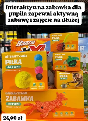 Interaktywna zabawka dla pupila promocja w Biedronka
