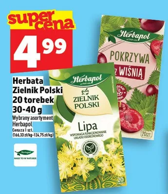 Herbata Zielnik Polski 20 torebek promocja w TOPAZ