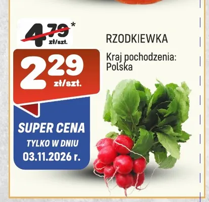 Rzodkiewka polska promocja w Społem Praga