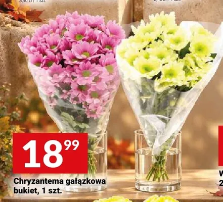 Chryzantema gałązkowa bukiet promocja w Twój Market