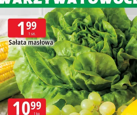 Sałata masłowa promocja w Leclerc