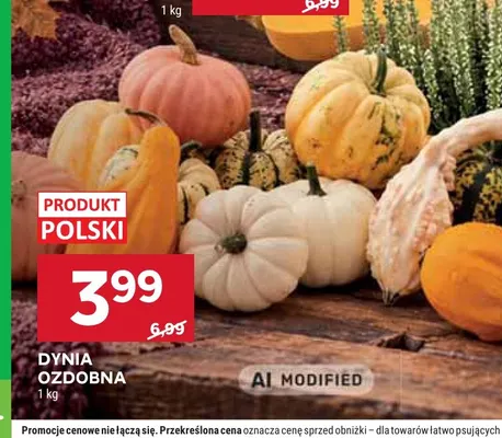 Dynia ozdobna promocja w Stokrotka