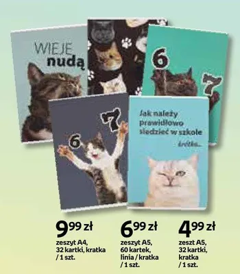 Zeszyt A5 60 kartek kratka promocja w Empik