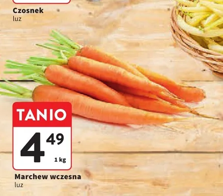 Marchew wczesna luz promocja w Intermarche