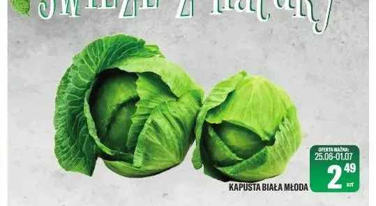 Kapusta biała młoda promocja w Tomi Markt