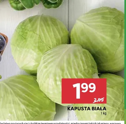 Kapusta biała promocja w Stokrotka