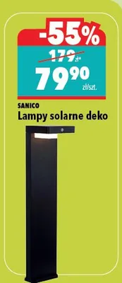 Lampy solarne motyle promocja w Biedronka Home