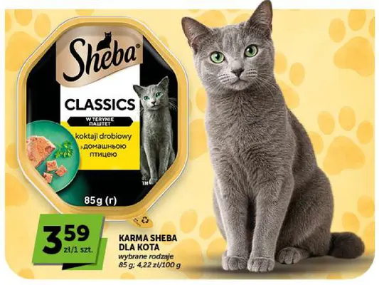 Karma Sheba dla kota promocja w Euro Sklep