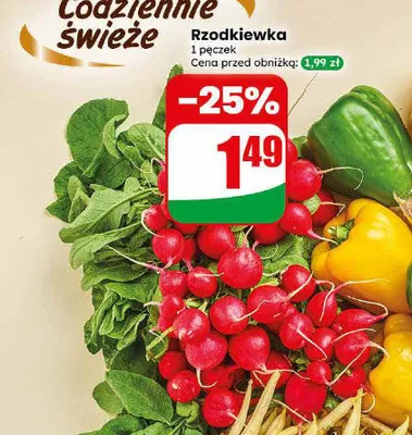 Rzodkiewka promocja w Dino