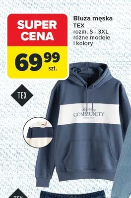 Bluza męska TEX różne modele i kolory promocja w Carrefour