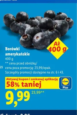 Borówki amerykańskie promocja w Lidl