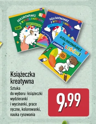 Książeczka kreatywna promocja w Aldi