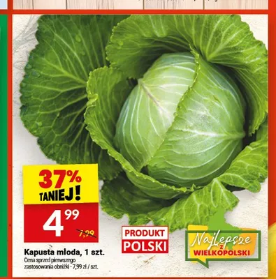 Kapusta młoda promocja w Twój Market