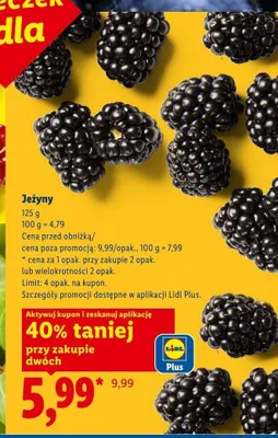 Jeżyny promocja w Lidl