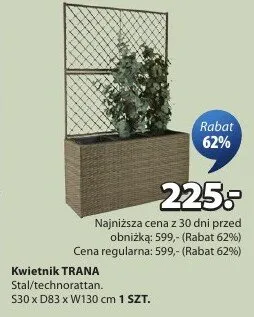 Kwietnik Trana promocja w Jysk