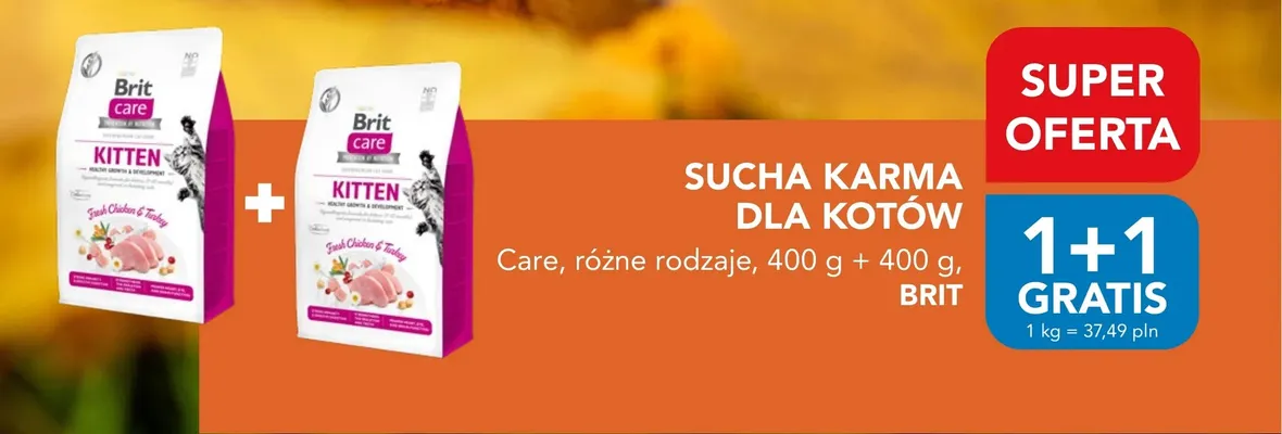 Sucha karma dla kotów Care Brit promocja w Aquael zoo