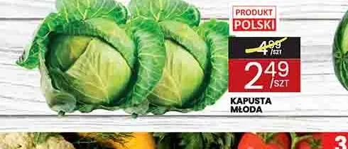 Kapusta młoda promocja w Wafelek