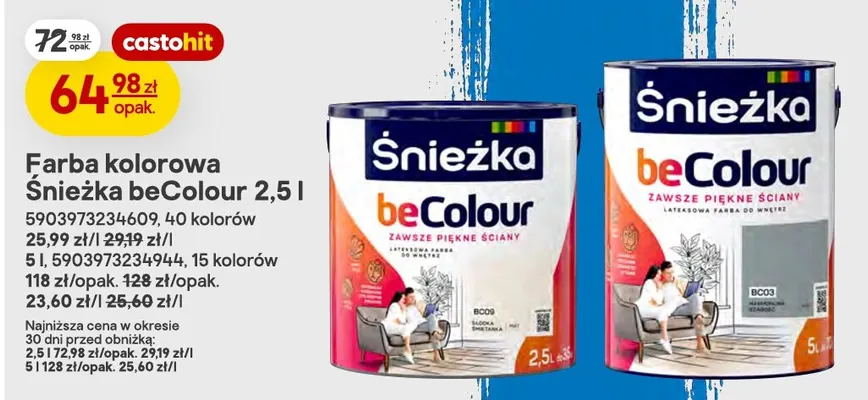Farba kolorowa Śnieżka beColour 2,5 l promocja w Castorama