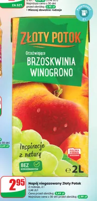 Napój niegazowany Złoty Potok 2 rodzaje promocja w Dino