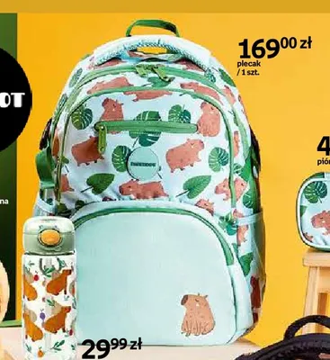 Plecak Paperdot Cappy Classes miętowy promocja w Empik