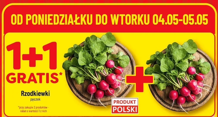 Rzodkiewki pęczek polskie promocja w POLOmarket