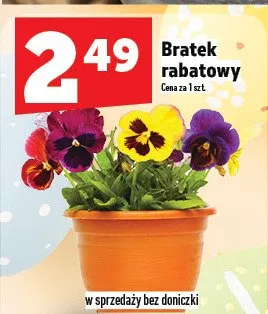 Bratek rabatowy promocja w TOPAZ