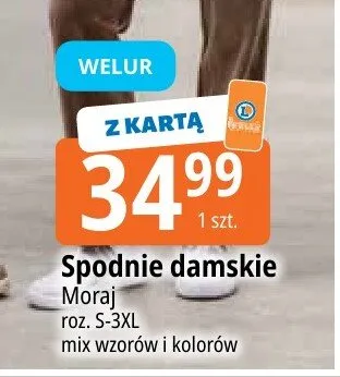 Spodnie damskie Moraj promocja w Leclerc