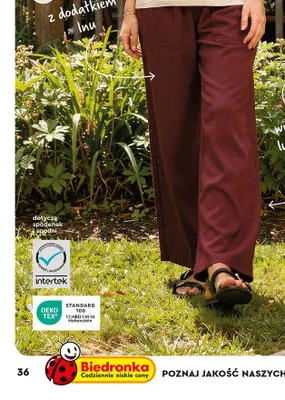 Spodnie damskie s-xl Tex promocja w Biedronka