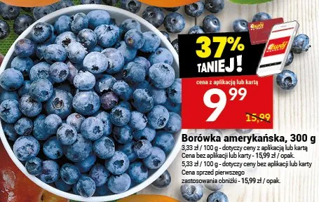 Borówka amerykańska, 300 g promocja w Twój Market