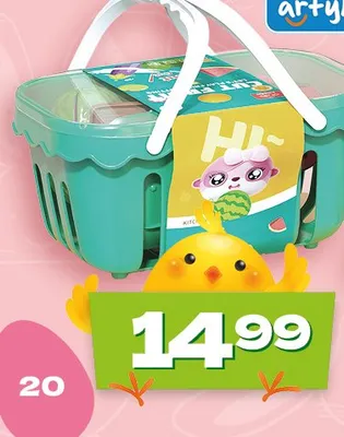 Koszyk piknikowy z akcesoriami promocja w Twój Market