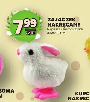 Zajączek nakręcany promocja w Stokrotka