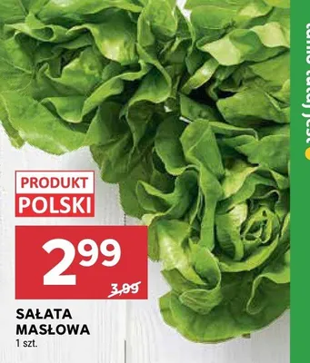 Sałata masłowa promocja w Stokrotka