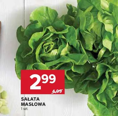 Sałata masłowa promocja w Stokrotka