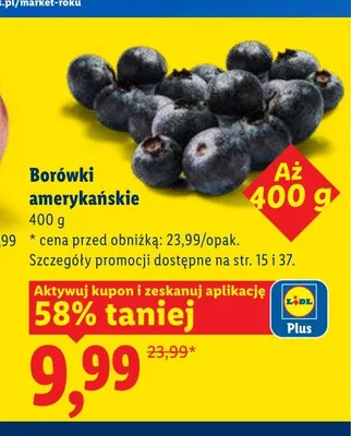 Borówki amerykańskie promocja w Lidl