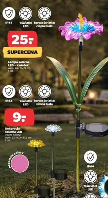 Dekoracja solarna LED (różne kolory) promocja w Netto