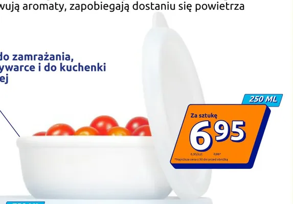 Pojemnik do przechowywania żywności Mepal 250 ml promocja w Action