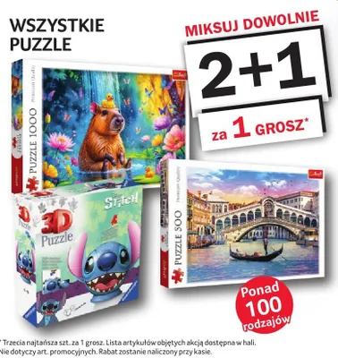 Puzzle wszystkie rodzaje promocja w Selgros