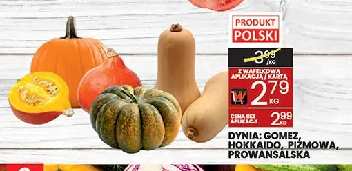 Dynia Gomez polska promocja w Wafelek