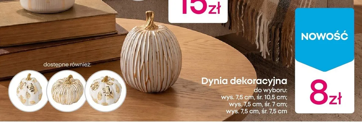 Dynia dekoracyjna promocja w Pepco